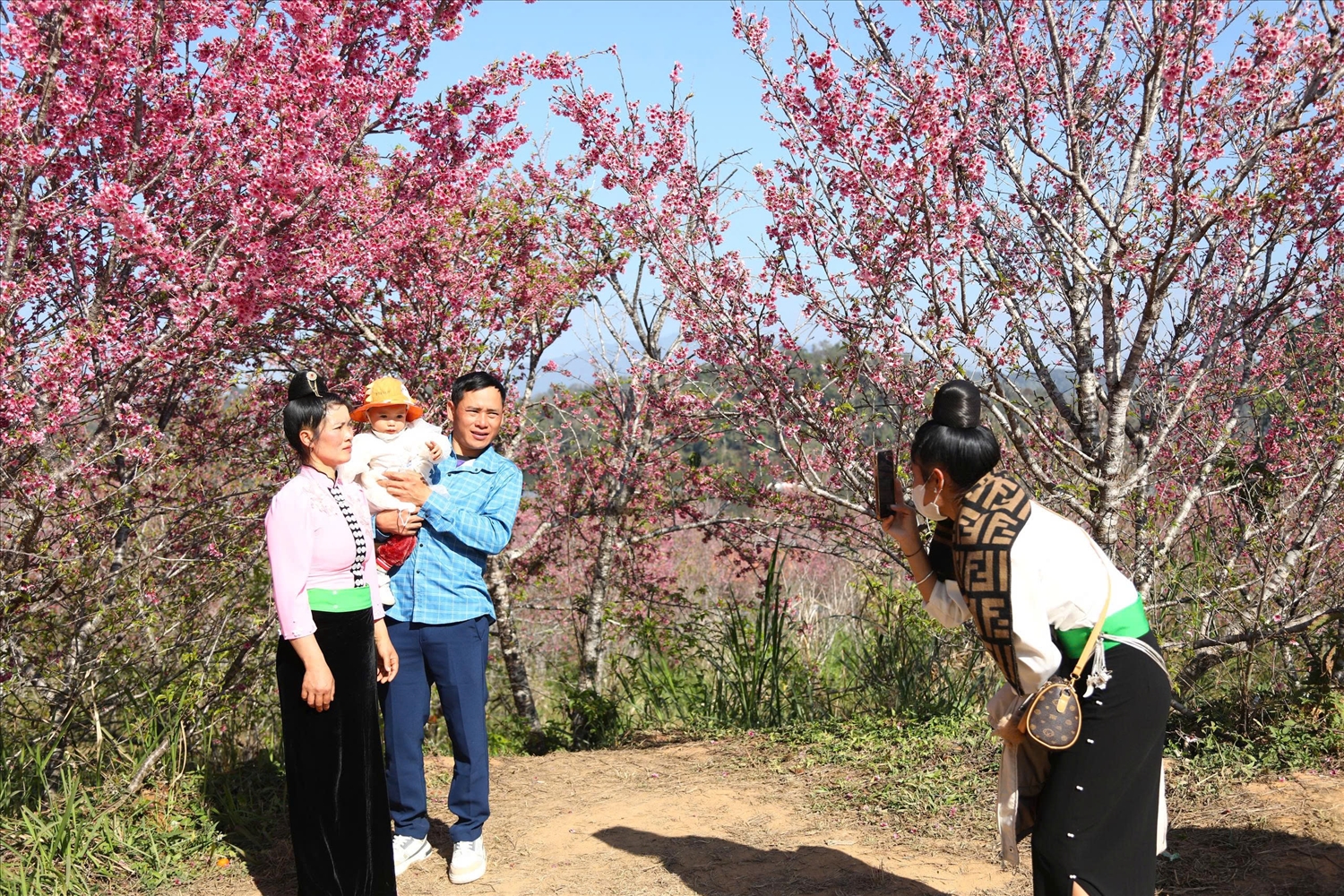 Sắc hoa – sắc người vùng cao