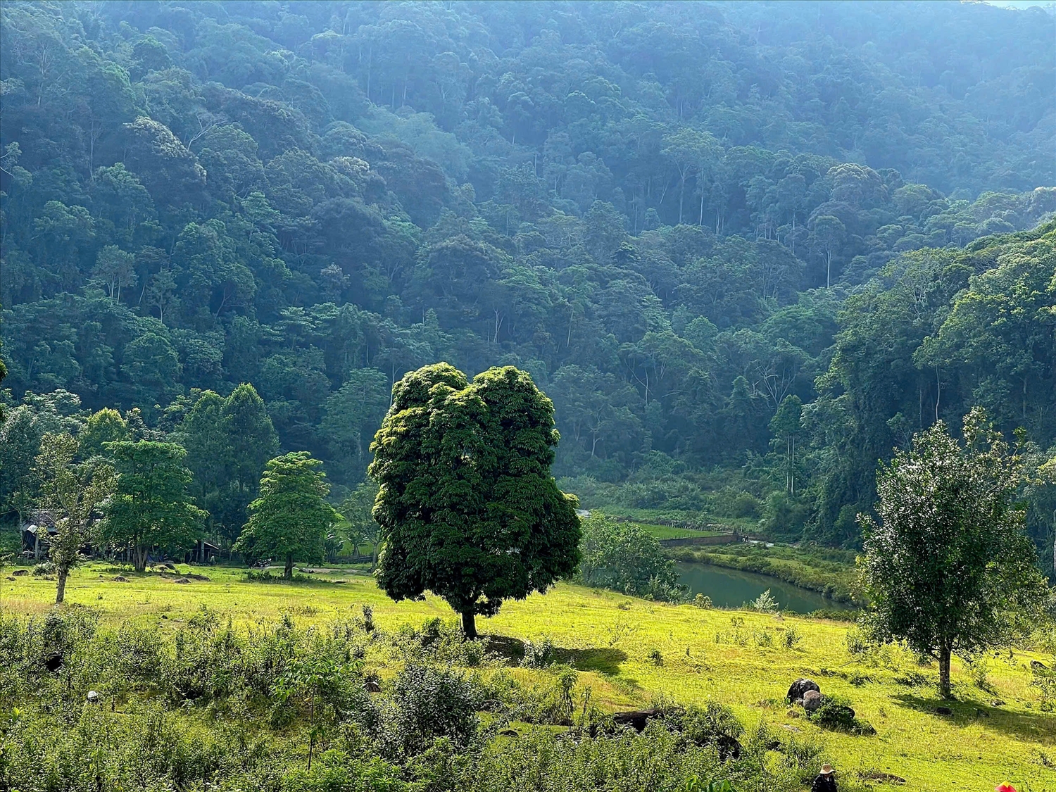 Thung lũng Lang Lung cách Homestay Suối Đang 2 km, nơi bản Nà Đang nằm lọt thỏm giữa đại ngàn.