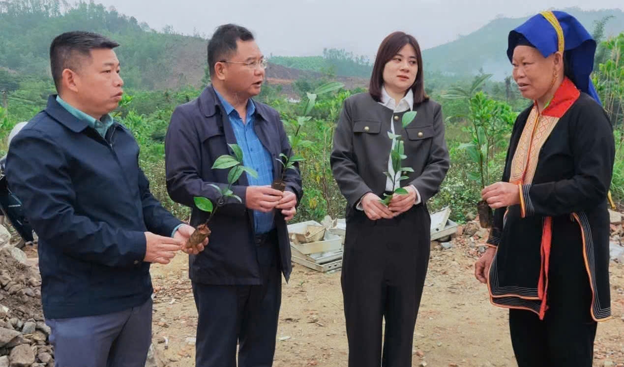 Bà con phấn khởi chia sẻ với lãnh đạo xã Ba Chẽ kỳ vọng về hiệu quả trong việc trồng rừng gỗ lớn