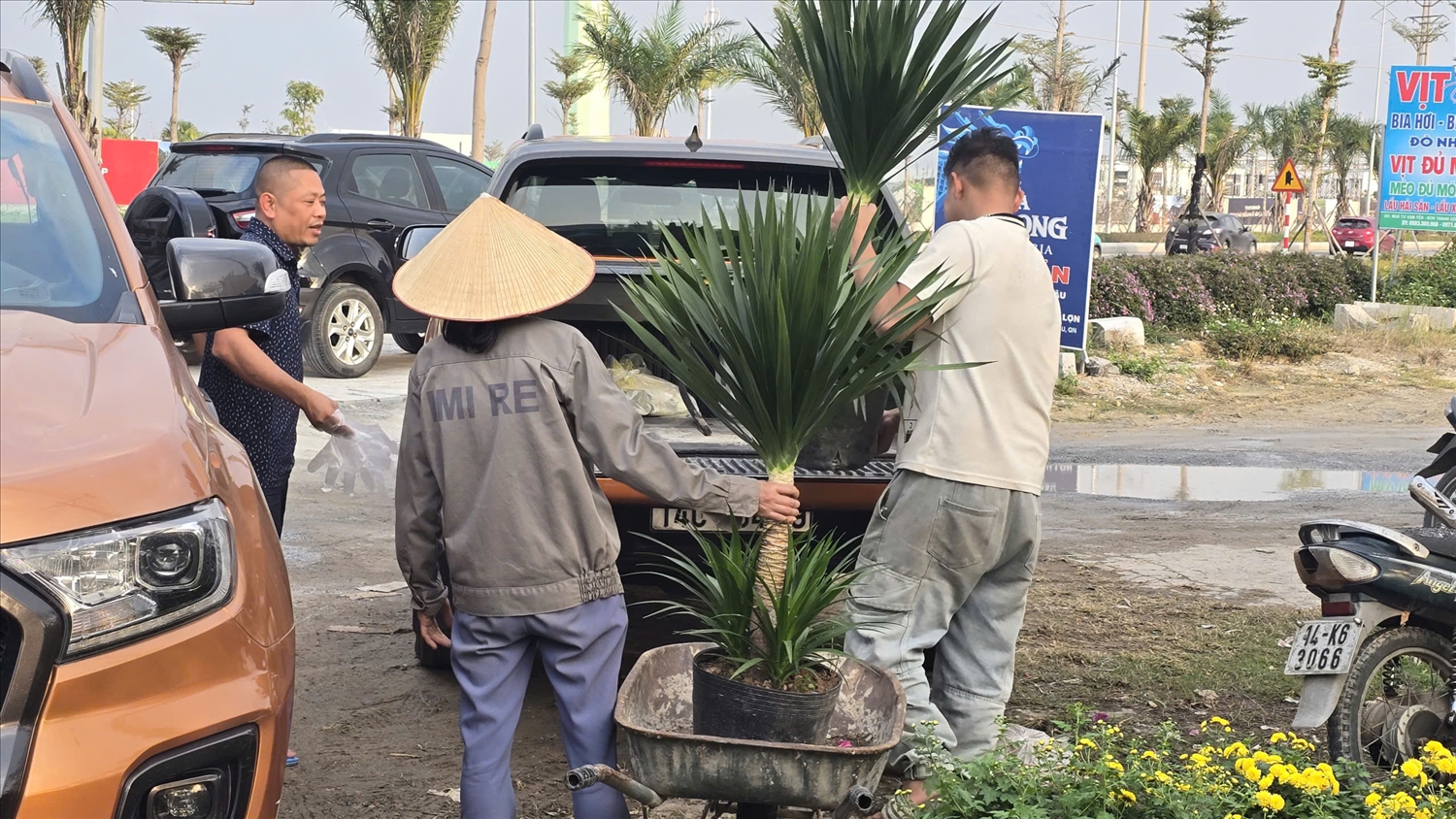 Khách chọn hoa, cây cảnh ưng ý chở về