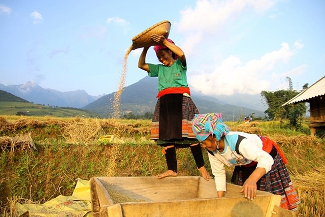 Dự thảo văn kiện Đại hội toàn quốc lần thứ XIV của Đảng xác lập mô hình tăng trưởng mới, với mục tiêu nâng cao năng suất, chất lượng, hiệu quả, giá trị gia tăng và sức cạnh tranh của nền kinh tế (Ảnh TL) 