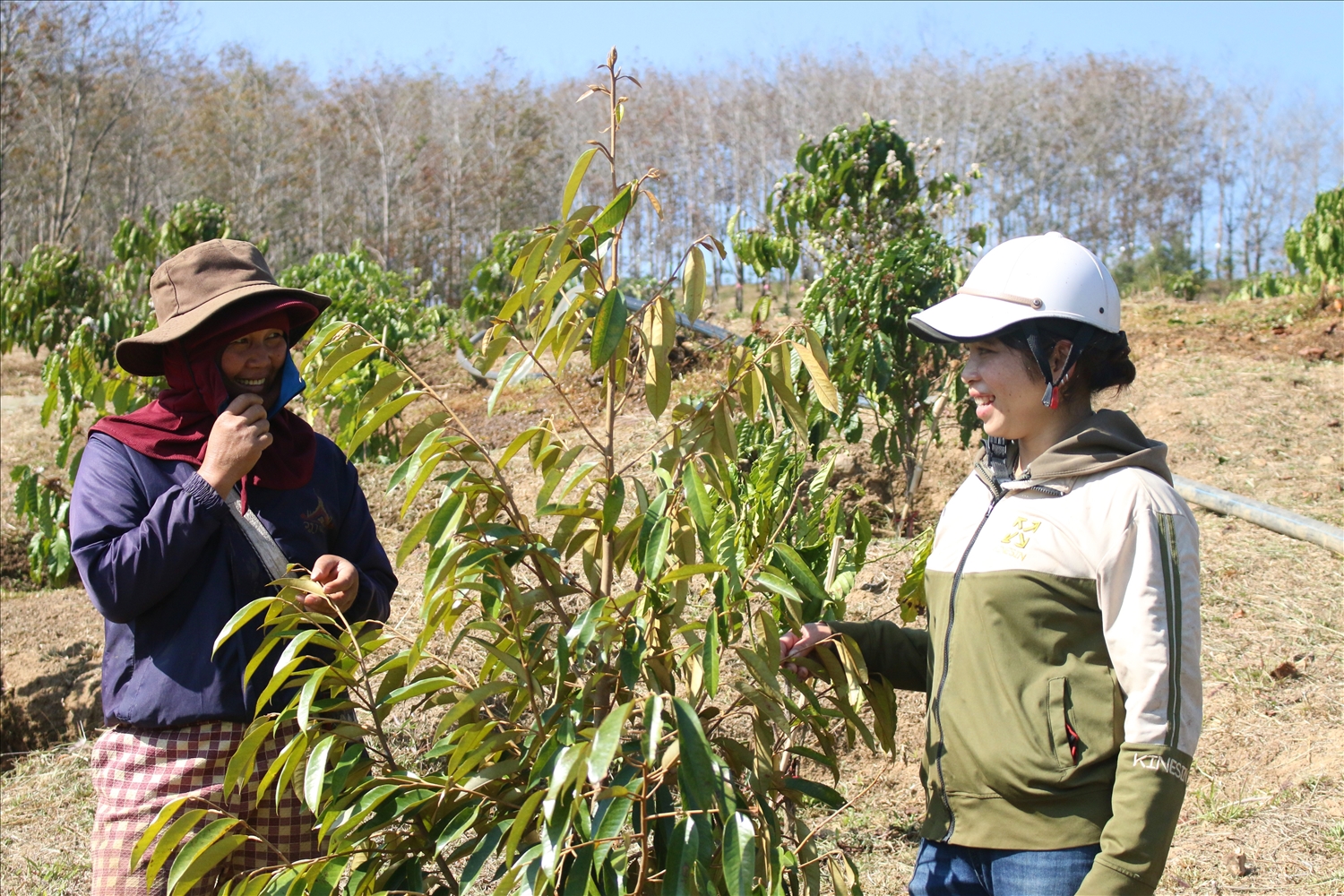 Xã Đăk Môn chú trọng phát huy vai trò tiên phong, gương mẫu của đảng viên ở khu dân cư trong việc phát triển kinh tế để tạo sức lan tỏa trong cộng đồng. (Ảnh: Ngọc Chí)