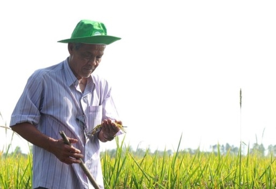 Người dân Cà Mau tin tưởng, Đại hội XIV của Đảng sẽ có những quyết sách mạnh mẽ, sát thực tiễn, gắn với đời sống của người dân vùng sâu, vùng xa (Ảnh TL)