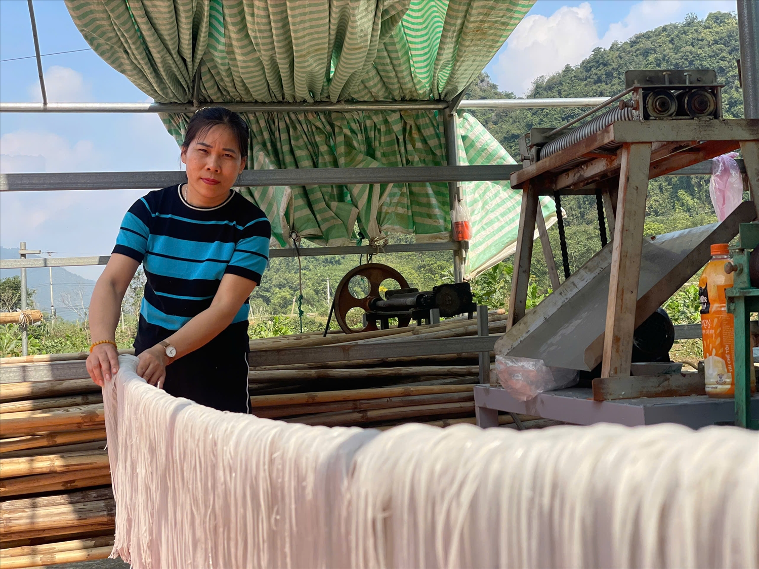 Phơi miến - một trong những công đoạn quan trọng trong quy trình làm miến dong.