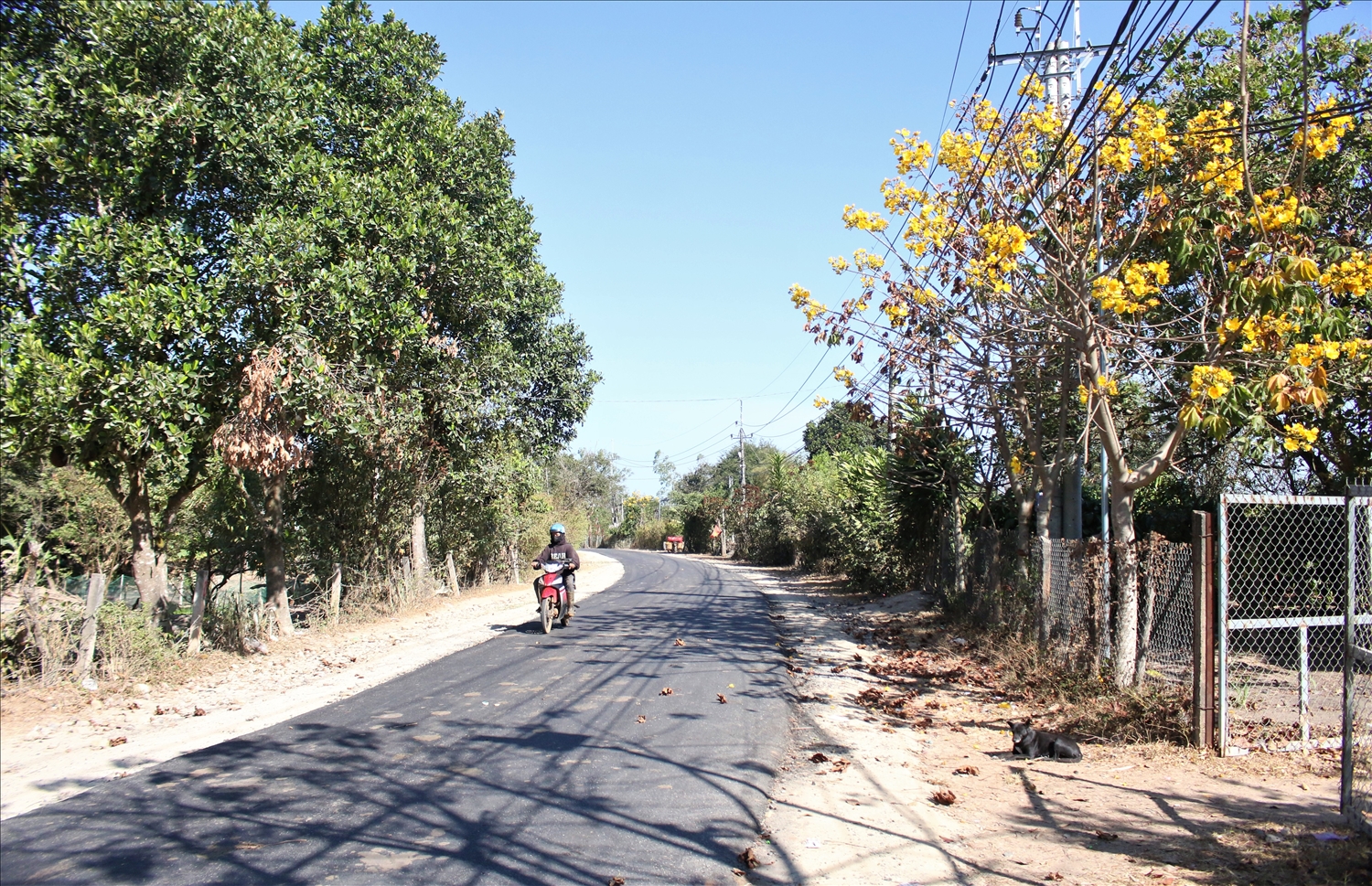 Con đường mới hoàn thành giúp đồng bào DTTS đi lại và vận chuyển nông sản thuận tiện hơn. (Ảnh: Ngọc Chí)