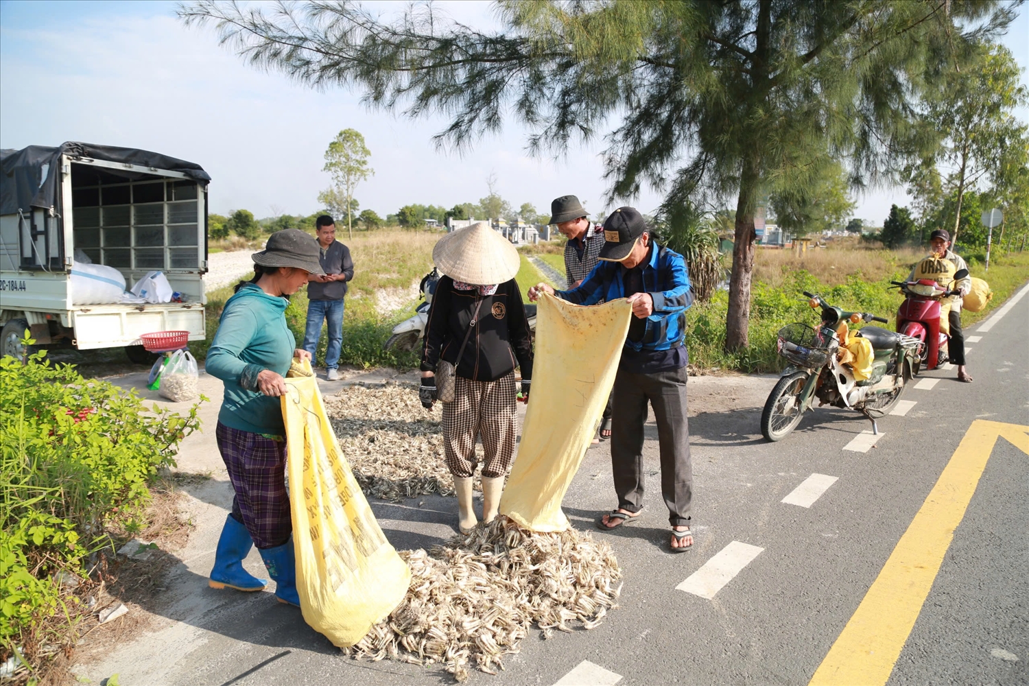 Người dân tập kết kiệu để bán cho thương lái. (Ảnh ST)