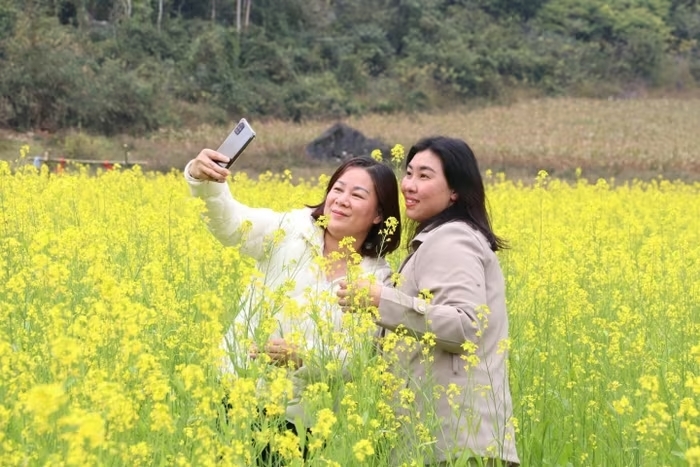 Du khách tham quan, chụp ảnh tại vườn hoa cải nhà ông Tiếp