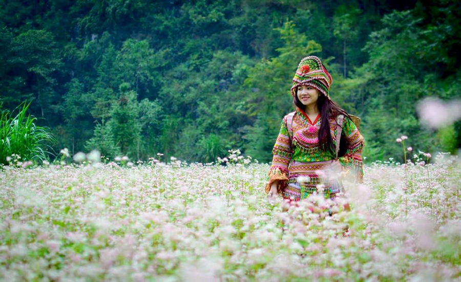 Du khách thích thú khi mặc trang phục của đồng bào DTTS và check in tại vườn hoa tam giác mạch - Tuyên Quang