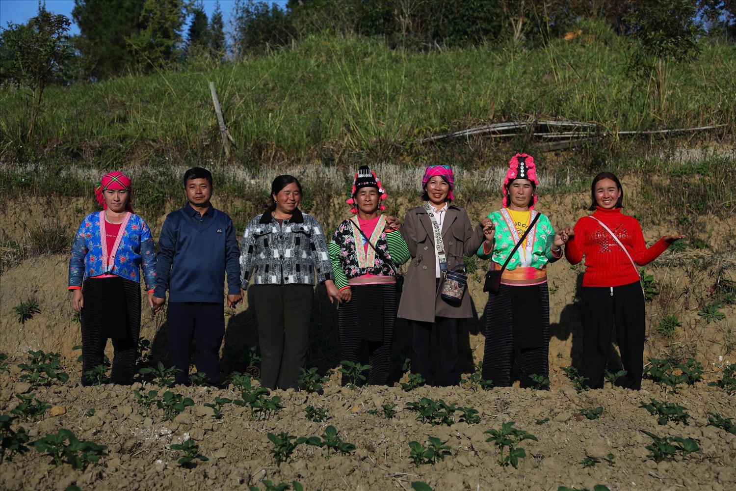 Người dân xã Tìa Dình đang kỳ vọng về sự phát triển của cây khoai tây