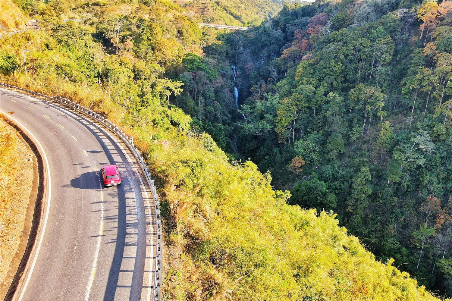 Nhìn từ xa, những cánh rừng bằng lăng đang mùa thay lá trên đèo Măng Đen như một bức tranh thiên nhiên đa sắc màu. (Ảnh: N.C)