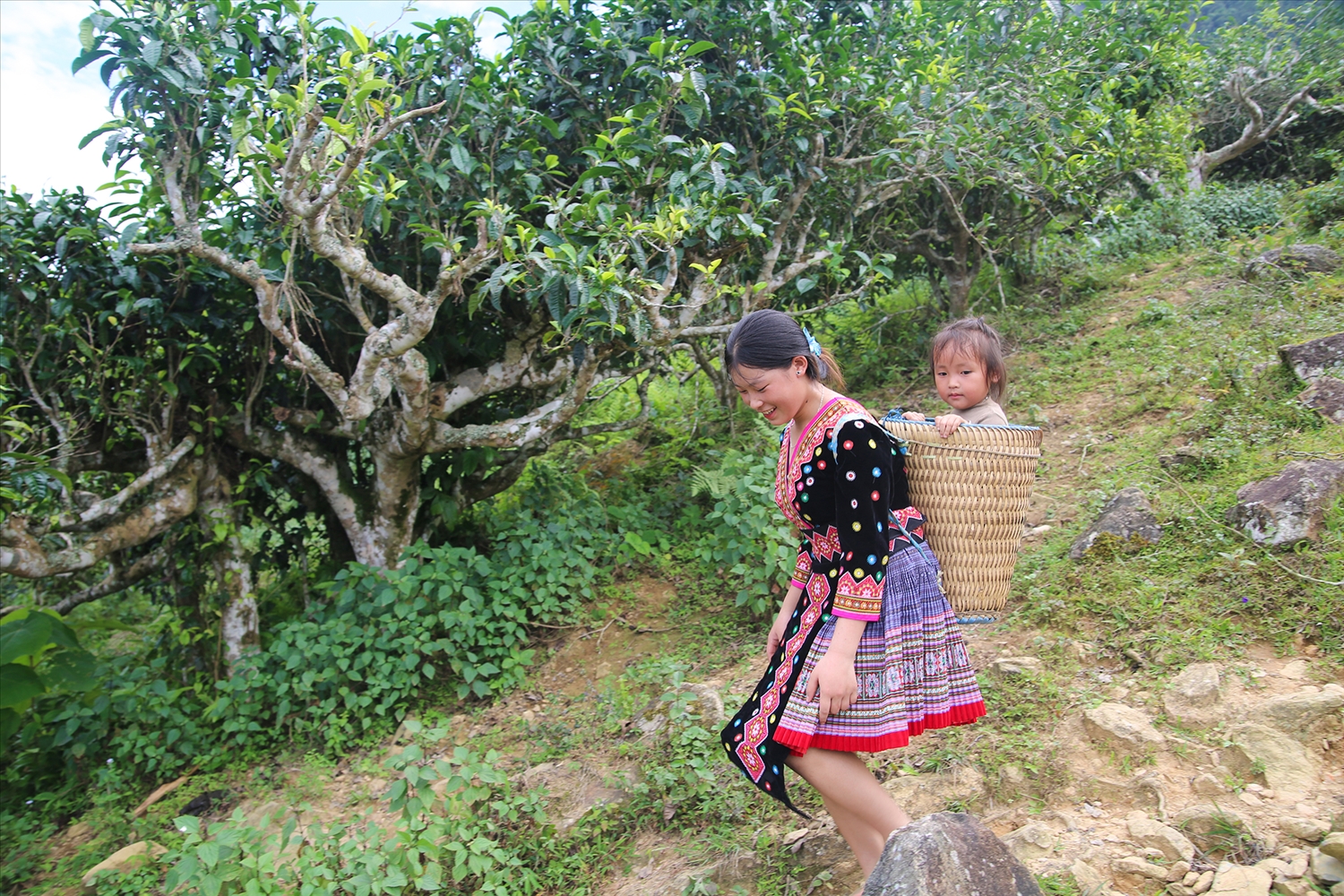 (PS Ảnh PV)Lu Cở - Biểu tượng văn hóa, nét đẹp trong cuộc sống của Phụ nữ Mông Tây Bắc 6