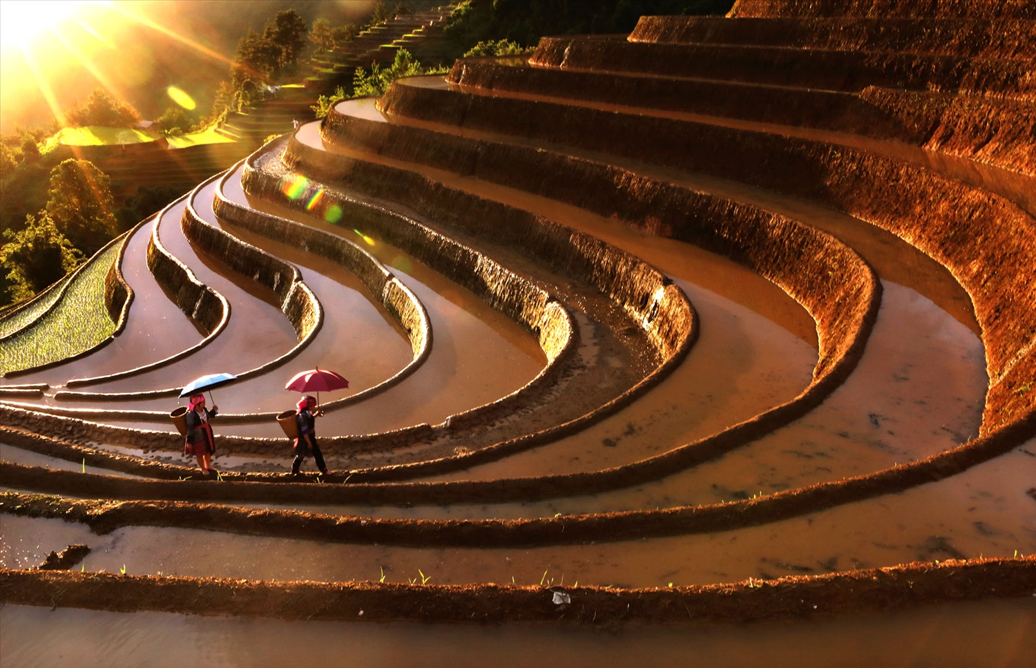 Chiếc lu cở thân quen đến nỗi như một thứ đồ trang sức của phụ nữ Mông mỗi khi xuống chợ, lên nương, trồng rừng, thu hoạch ngô, lúa...