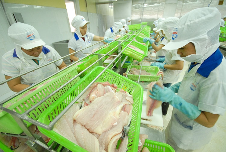 Nông - lâm - thủy sản tiếp tục là trụ đỡ của nền kinh tế (Ảnh IT)