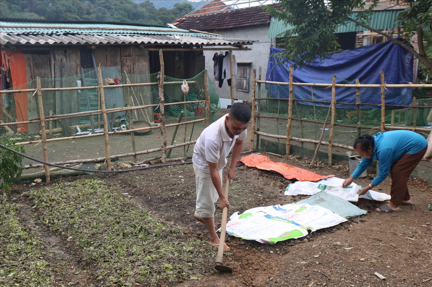 Mẹ con bà Quế vỡ đất, thưng rào trồng rau ngay trước căn nhà tạm