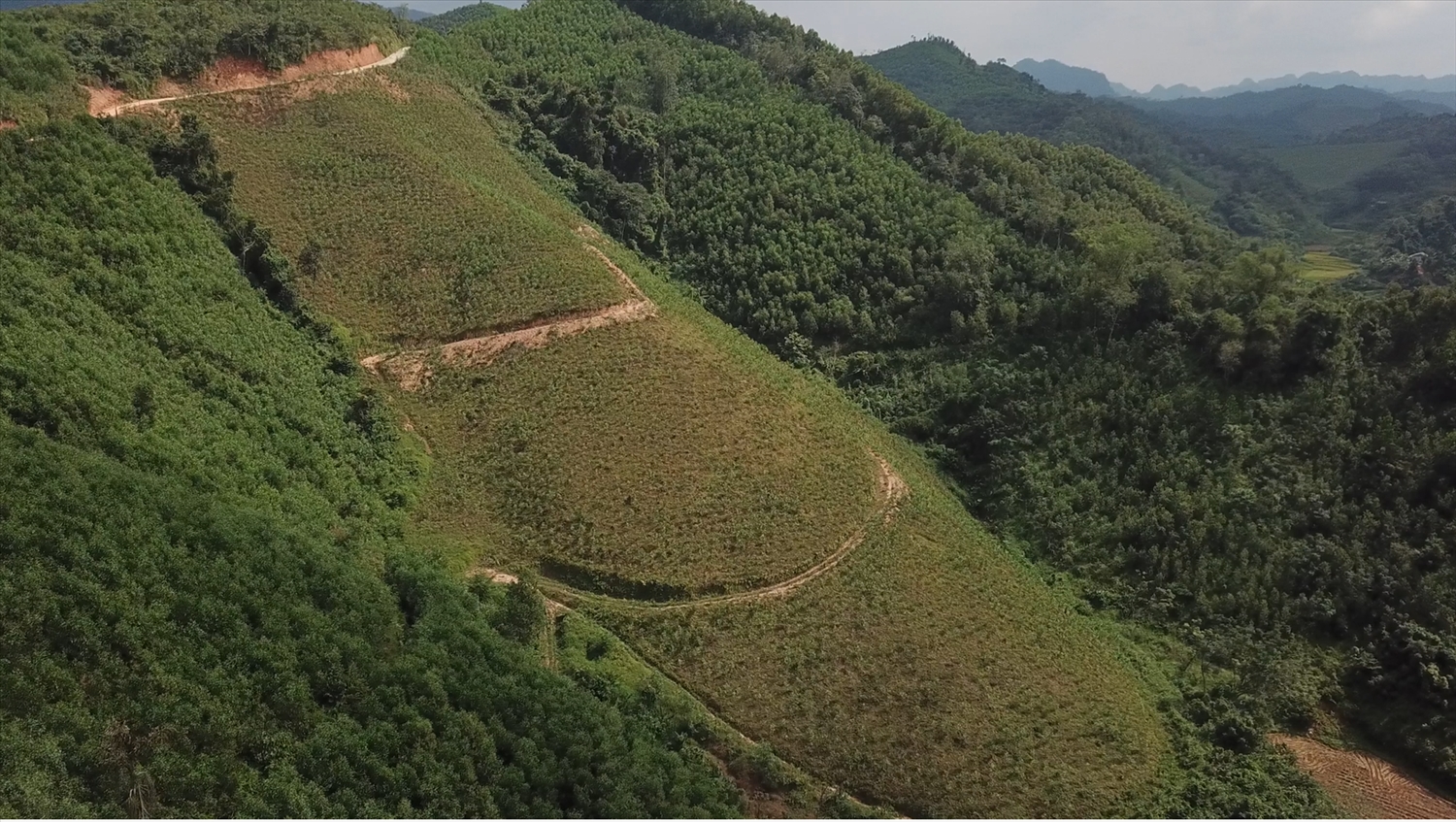 Người dân Thiện Thuật trồng rừng mang lại giá trị kinh tế cao