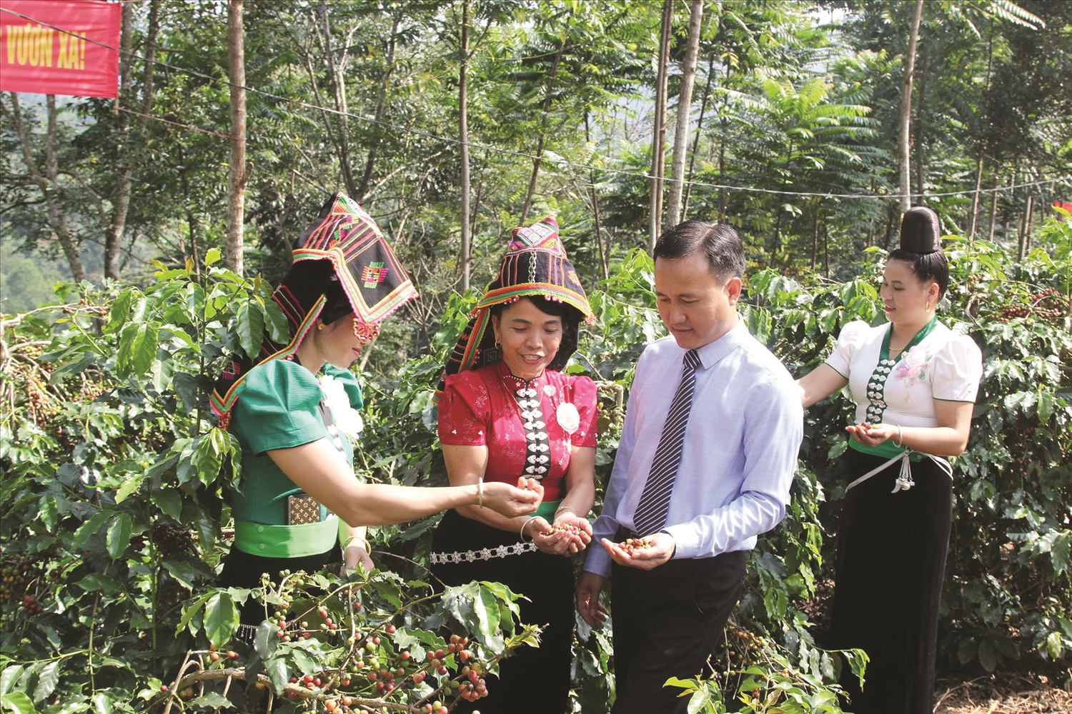 Từ các dự án hỗ trợ phát triển sản xuất của Chương trình MTQG 1719 đã giúp đồng bào các DTTS tạo sinh kế bền vững