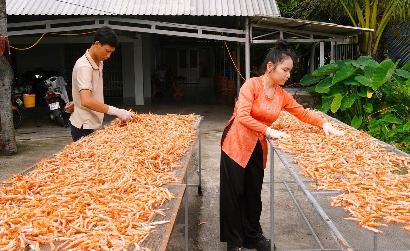 Các cơ sở sản xuất tôm khô tất bật vụ Tết. Ảnh: NVCC