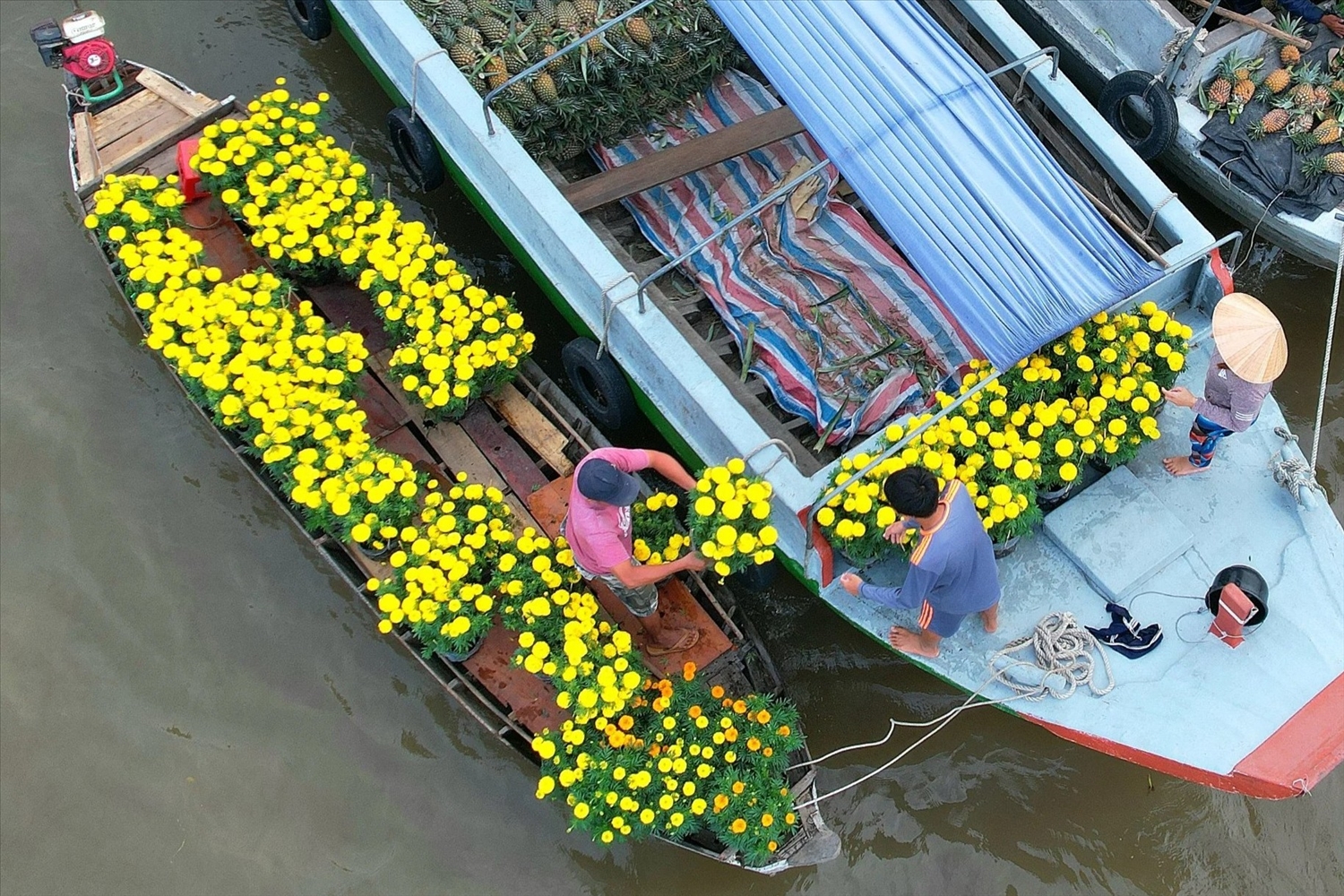 Dân thương hồ tại chợ nổi Cái Răng mua hoa để trang trí trên ghe chuẩn bị đón tết. 