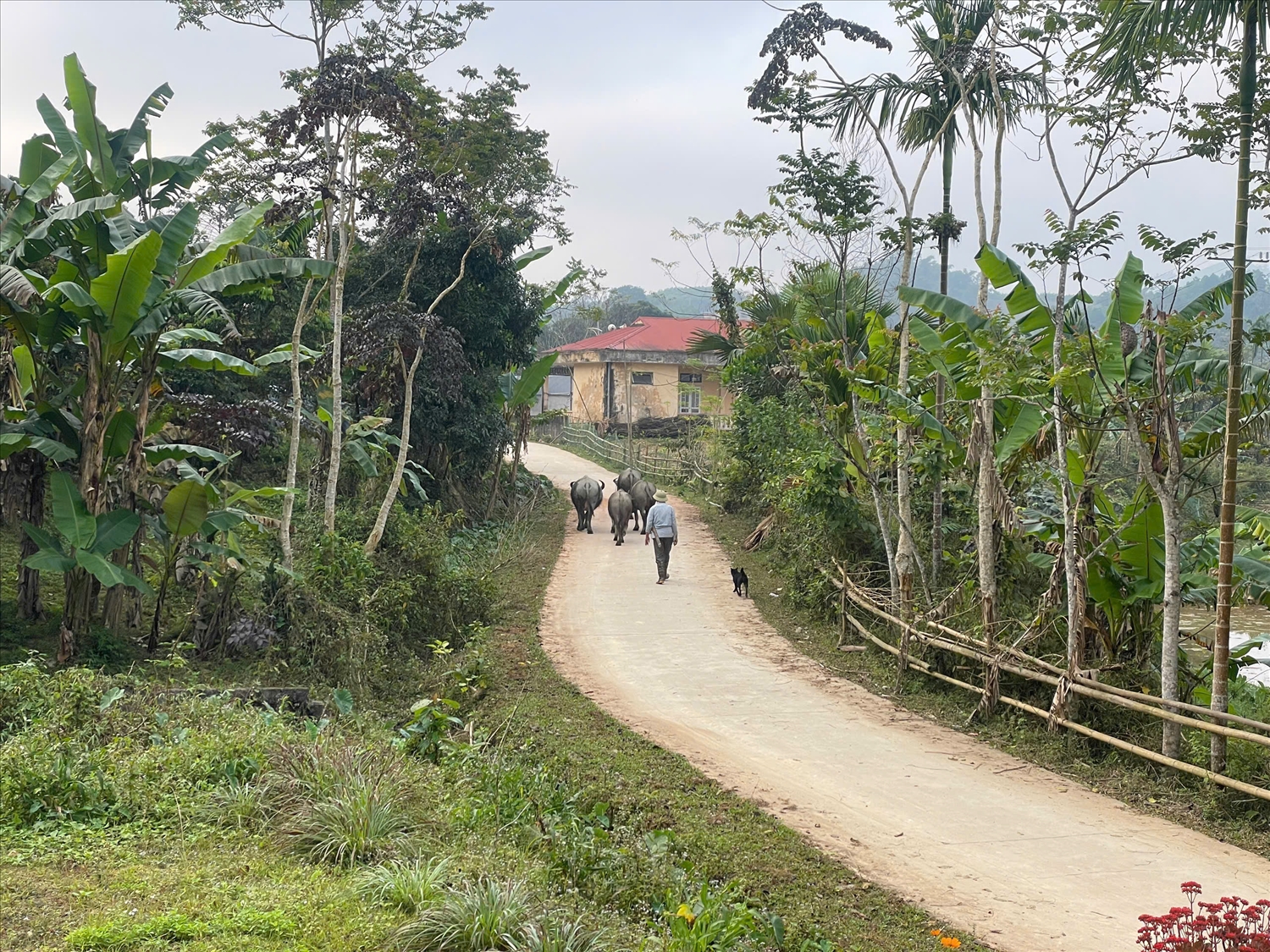 Tuyến đường mới mở uốn lượn qua Thôn Kha, giúp người dân đi lại thuận tiện, khép lại những năm tháng cách trở, gian khó.
