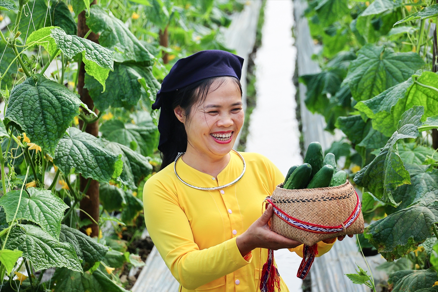 Nụ cười rạng rỡ của người nông dân bên thành quả lao động. Những trái dưa căng mọng không chỉ mang theo hy vọng về một vụ mùa ấm no mà còn là niềm tự hào về sản phẩm sạch của bản làng