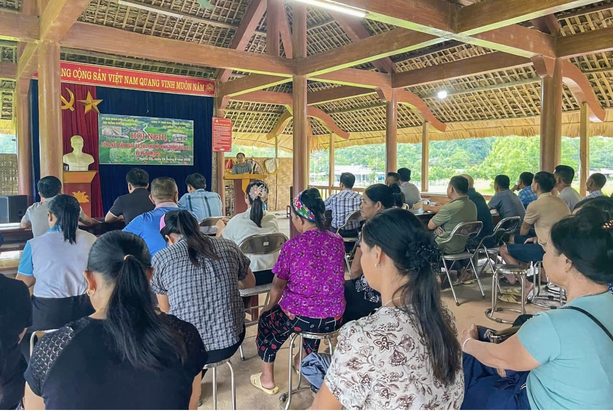 Không chỉ bao tiêu sản phẩm, các doanh nghiệp, công ty, Hợp tác xã còn hỗ trợ bà con từ khâu cung ứng vật tư (trả tiền sau thu hoạch), hướng dẫn kỹ thuật làm đất, lên luống và chăm sóc cây trồng và yêu cầu bà con tuân thủ nghiêm ngặt 4 tiêu chuẩn: Làm đúng, làm đủ, làm đạt, chia sẻ lan tỏa