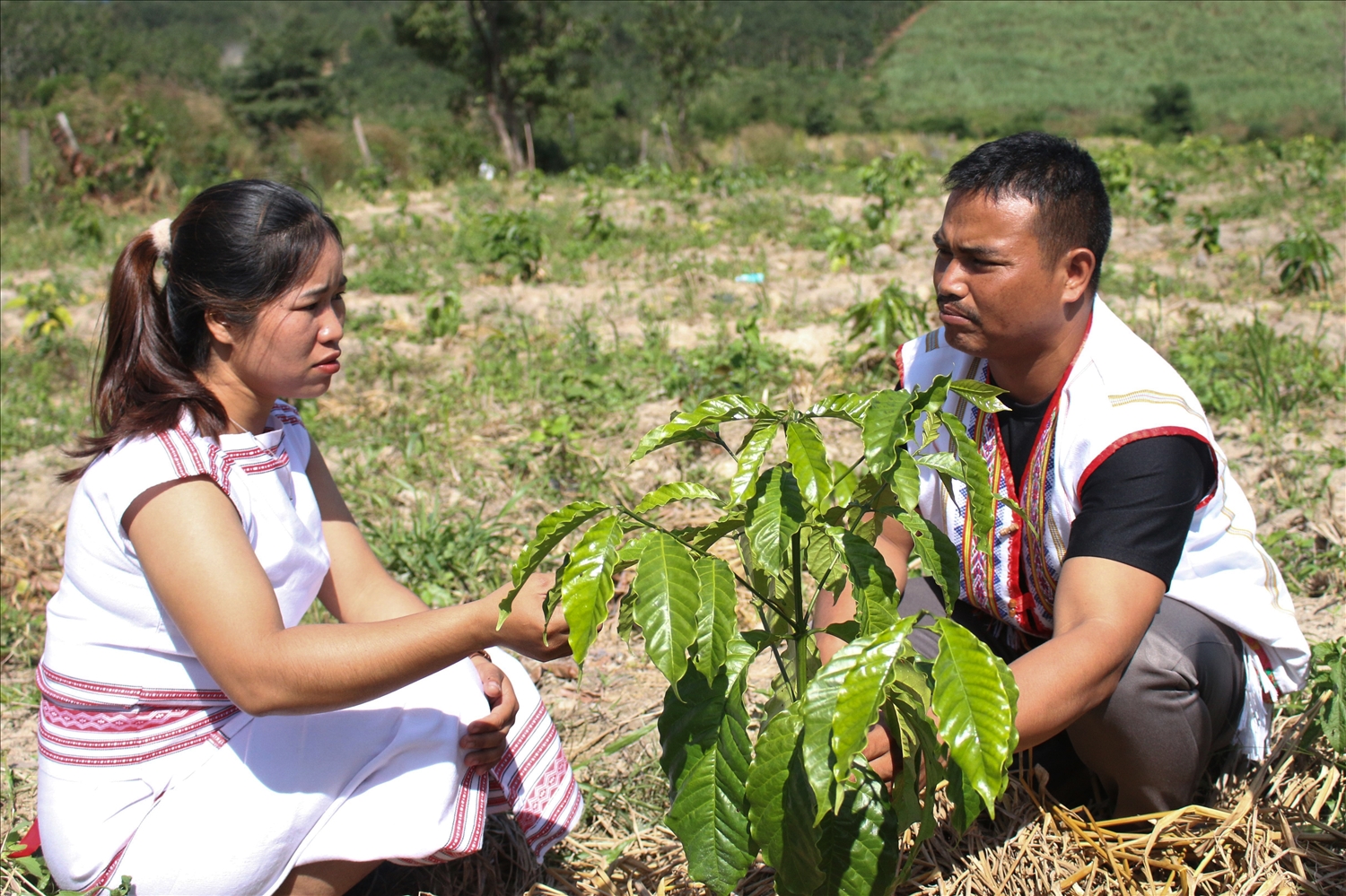 Chị Y Thơm (bên trái) được Nhà nước hỗ trợ trồng 3 sào cà phê và chị tự mua thêm trồng được gần 1ha