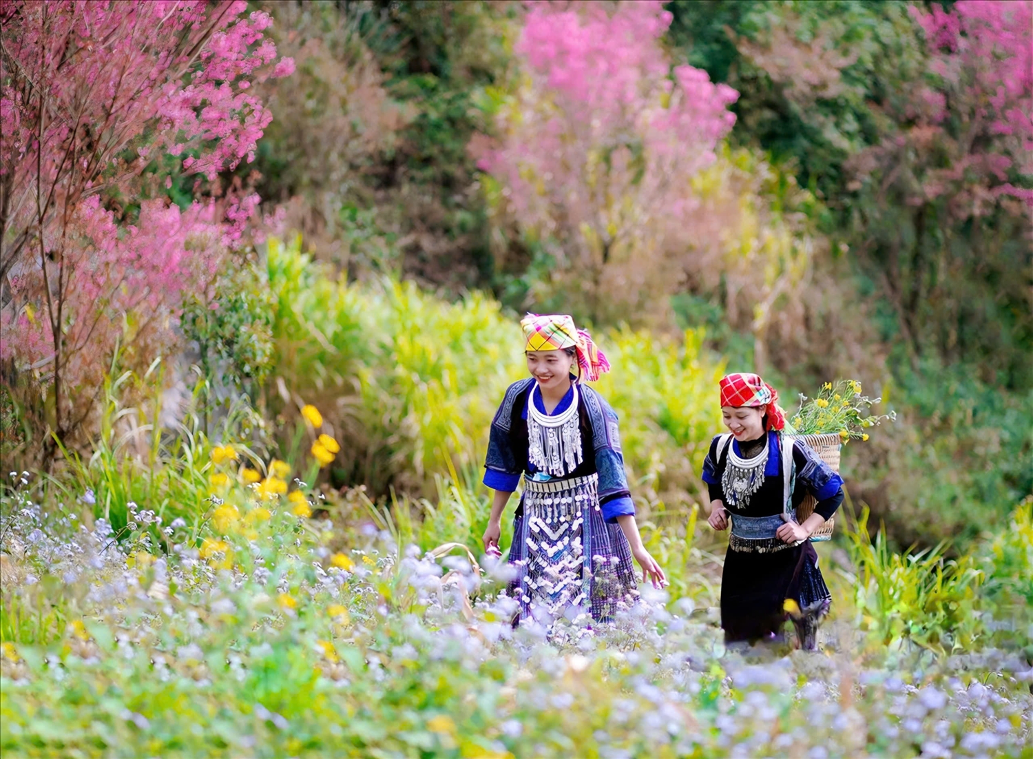 Trong những ngày tới miền Bắc đến Bắc Trung Bộ, thời tiết được dự báo còn nhiều biến động do các đợt không khí lạnh tăng cường