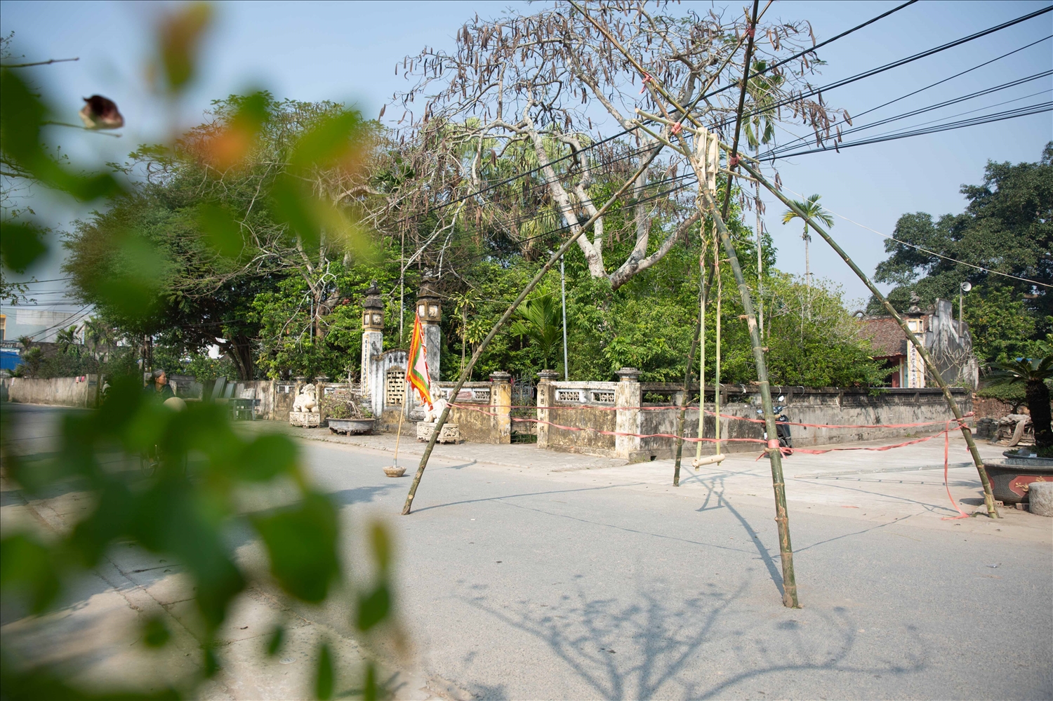 Cây đu tại thôn Thanh Khê đã được dựng xong, chờ đợi khoảnh khắc Giao thừa để làm lễ khai đu