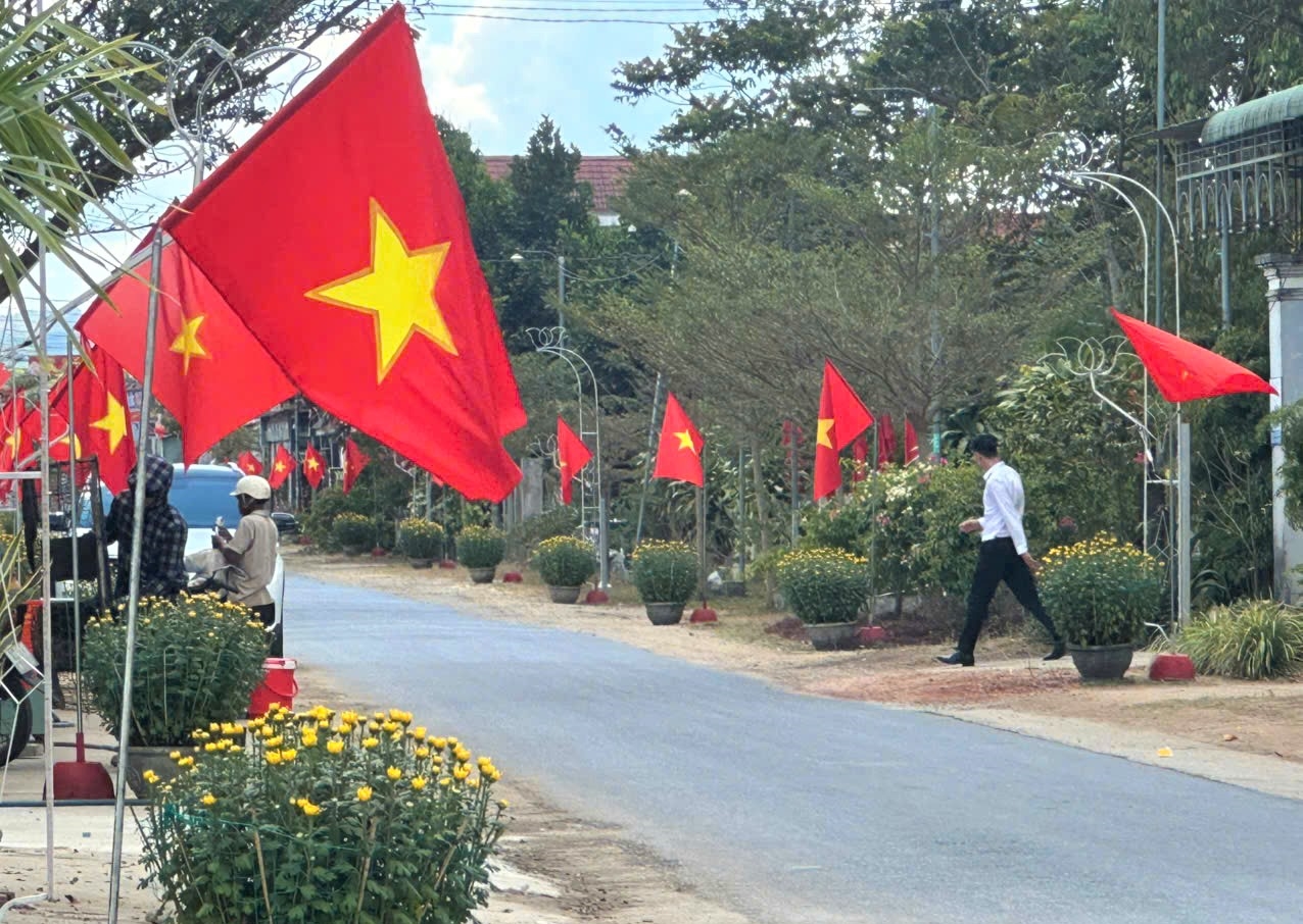 Vùng cao tỉnh Quảng Ngãi rực rỡ cờ hoa đón Tết