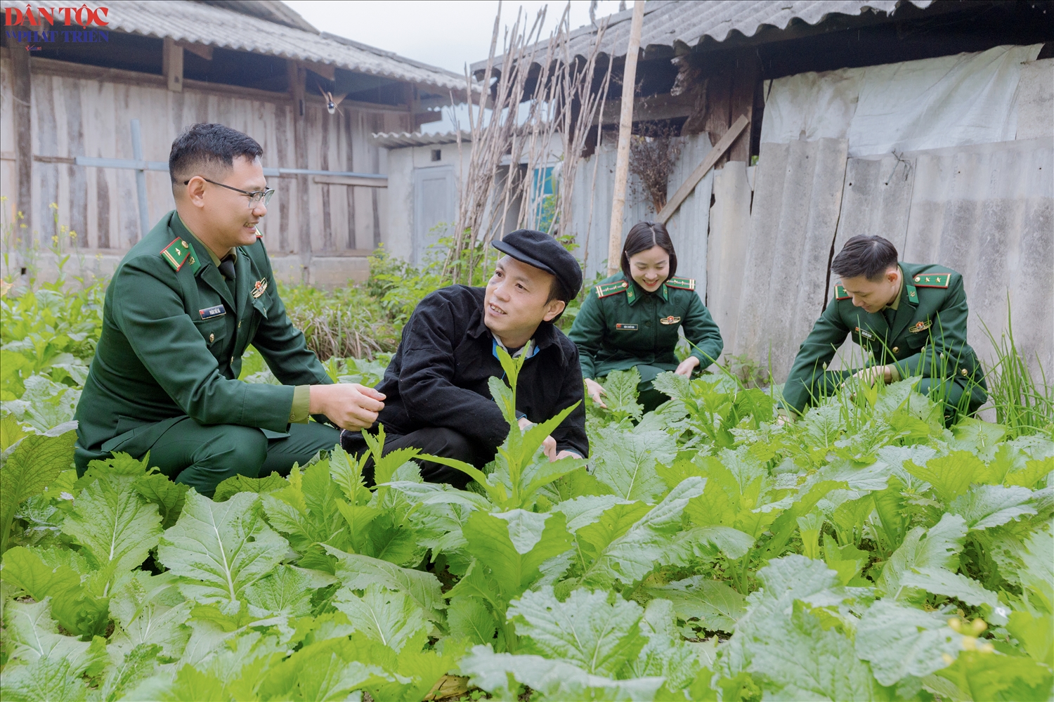 Cán bộ, chiến sĩ Đồn Biên phòng Cửa khẩu Quốc tế Thanh Thủy thăm mô hình cải tạo vườn tạp của gia đình anh Đặng Văn Lòng