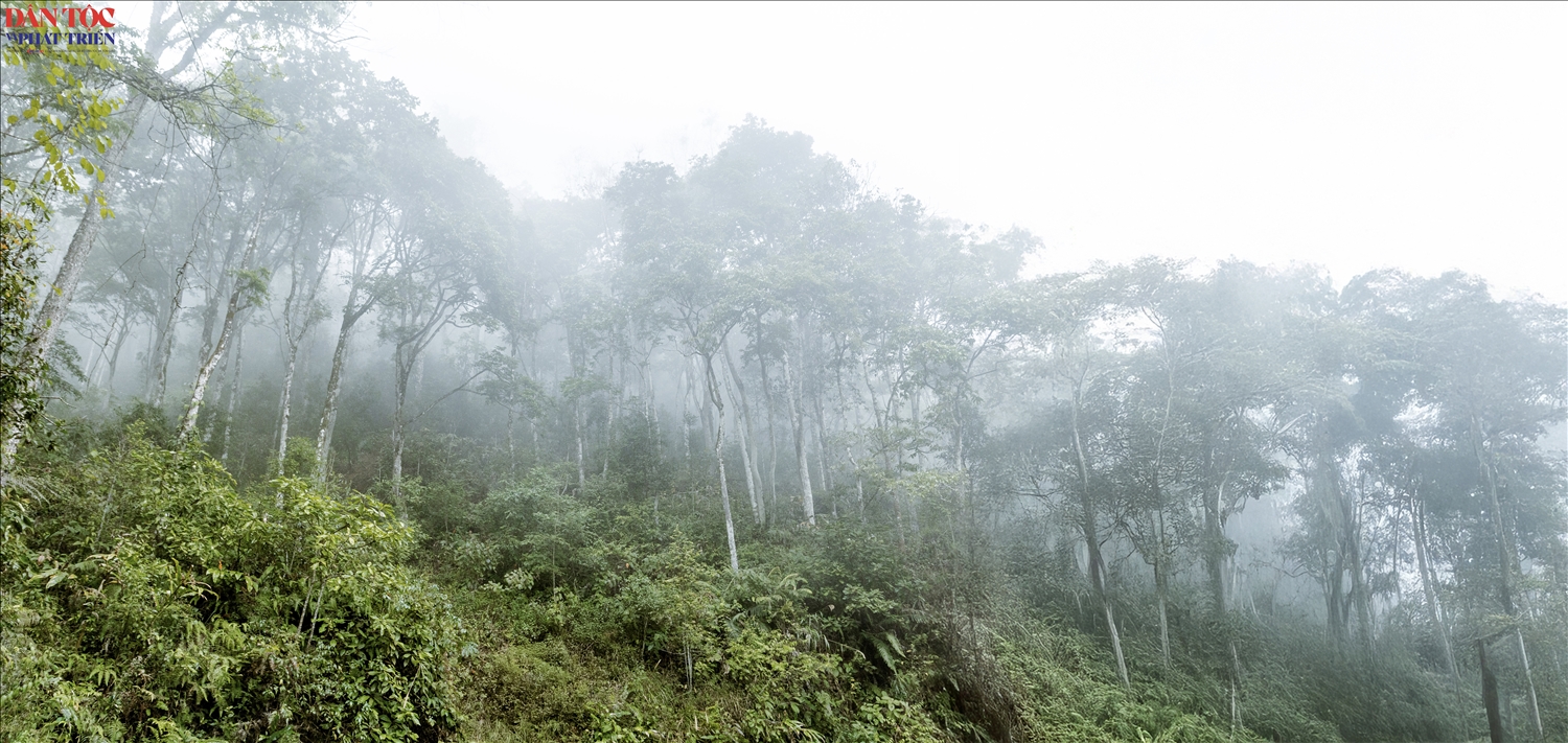 Đây được xem là một trong những khu rừng đặc dụng có giá trị đa dạng sinh học cao của miền núi phía Bắc. Với diện tích hơn 5.400ha rừng tự nhiên, nằm ở độ cao trung bình trên 1.100m thuộc các xã Tát Ngà, Sủng Máng và Mèo Vạc, khu vực này sở hữu hệ sinh thái rừng thường xanh ẩm núi thấp điển hình, giàu tính nguyên sinh, có cấu trúc tầng tán đa dạng với nhiều loài cây gỗ lớn, cây thuốc quý và thảm thực vật phong phú.