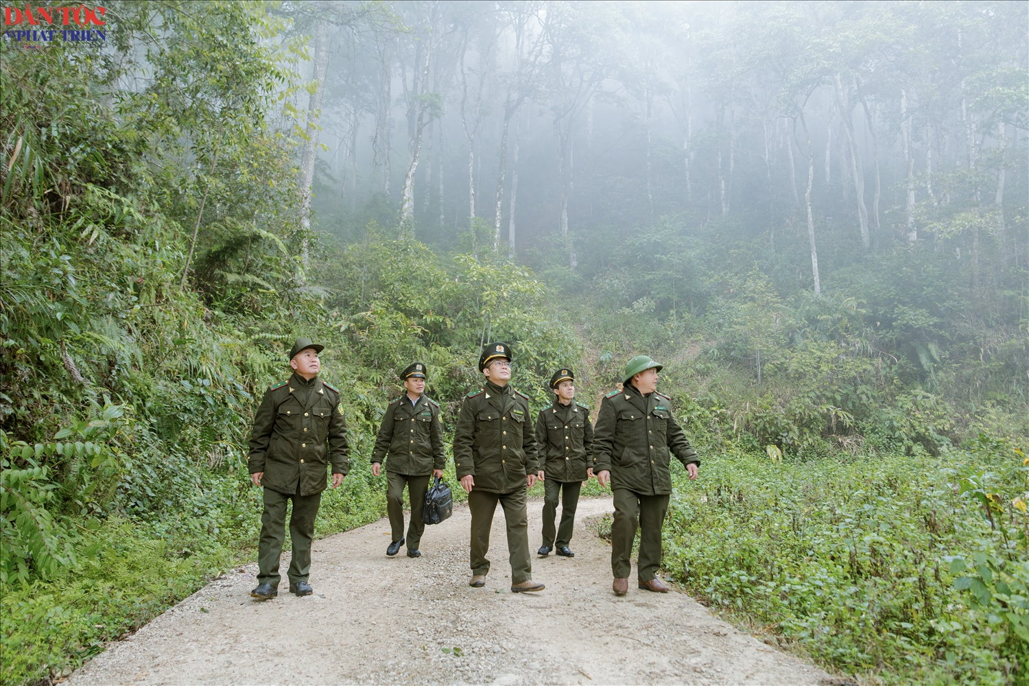 Những cây nghiến bám rễ sâu vào khe đá, thân cây to, tán rộng, tạo thành mảng rừng liên kết khá nguyên vẹn và trải dài trên diện tích lớn. Quần thể nghiến không chỉ có giá trị sinh thái quan trọng mà còn góp phần giữ đất, giữ nước và tạo nên nét đặc trưng riêng cho hệ sinh thái rừng trên núi đá của Khu bảo tồn.