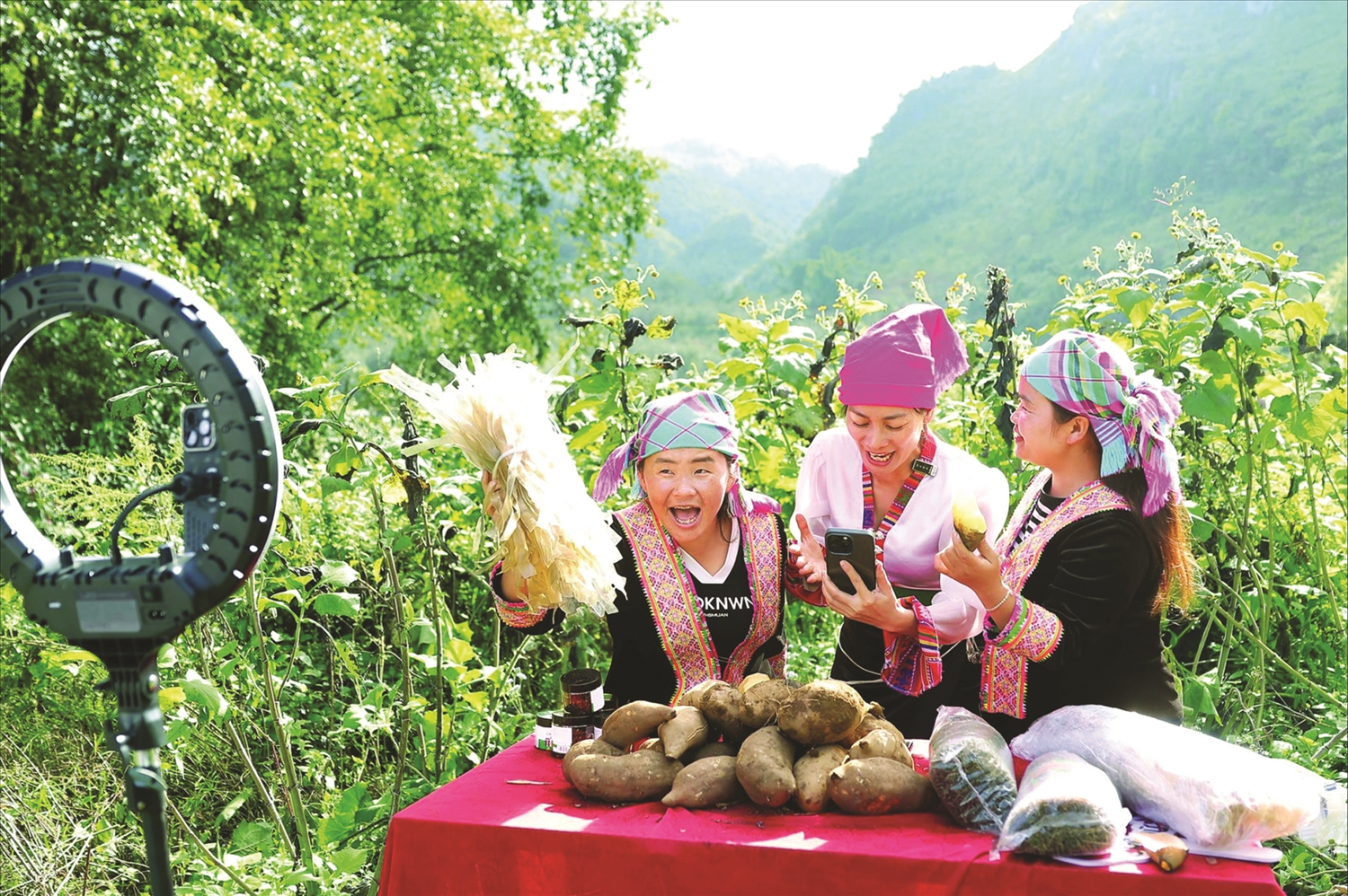 Vừ Thị Xia, Cô Ba Hồng, Vừ Thị Chứ livestream bán khoai sâm và nông sản của Sìn Hồ, tỉnh Lai Châu. Ảnh: T.T