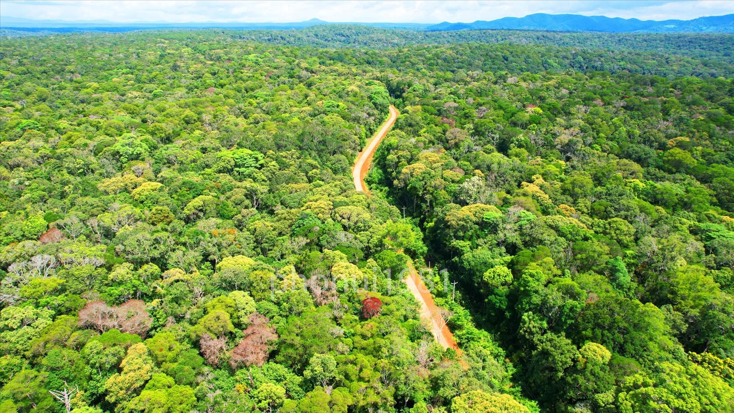 Vẻ đẹp nguyên sơ của cao nguyên Kon Hà Nừng