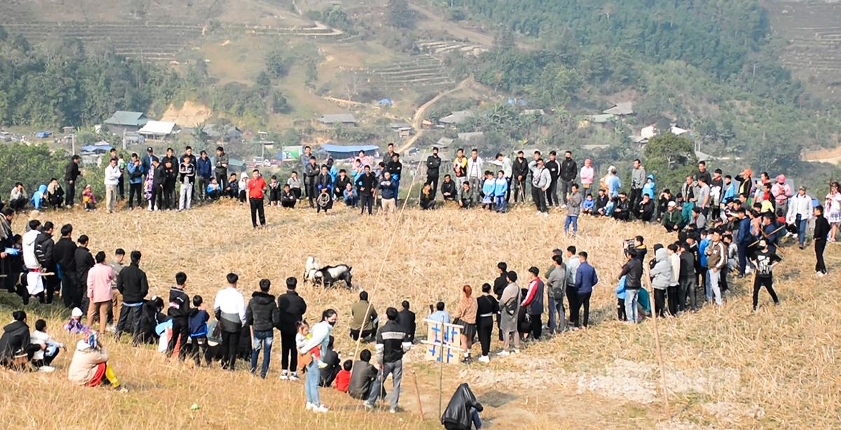 Vào dịp đầu xuân, người Mông thường tổ chức nhiều trò chơi dân gian hấp dẫn, trong đó có chọi dê thu hút đông đảo Nhân dân và du khách.