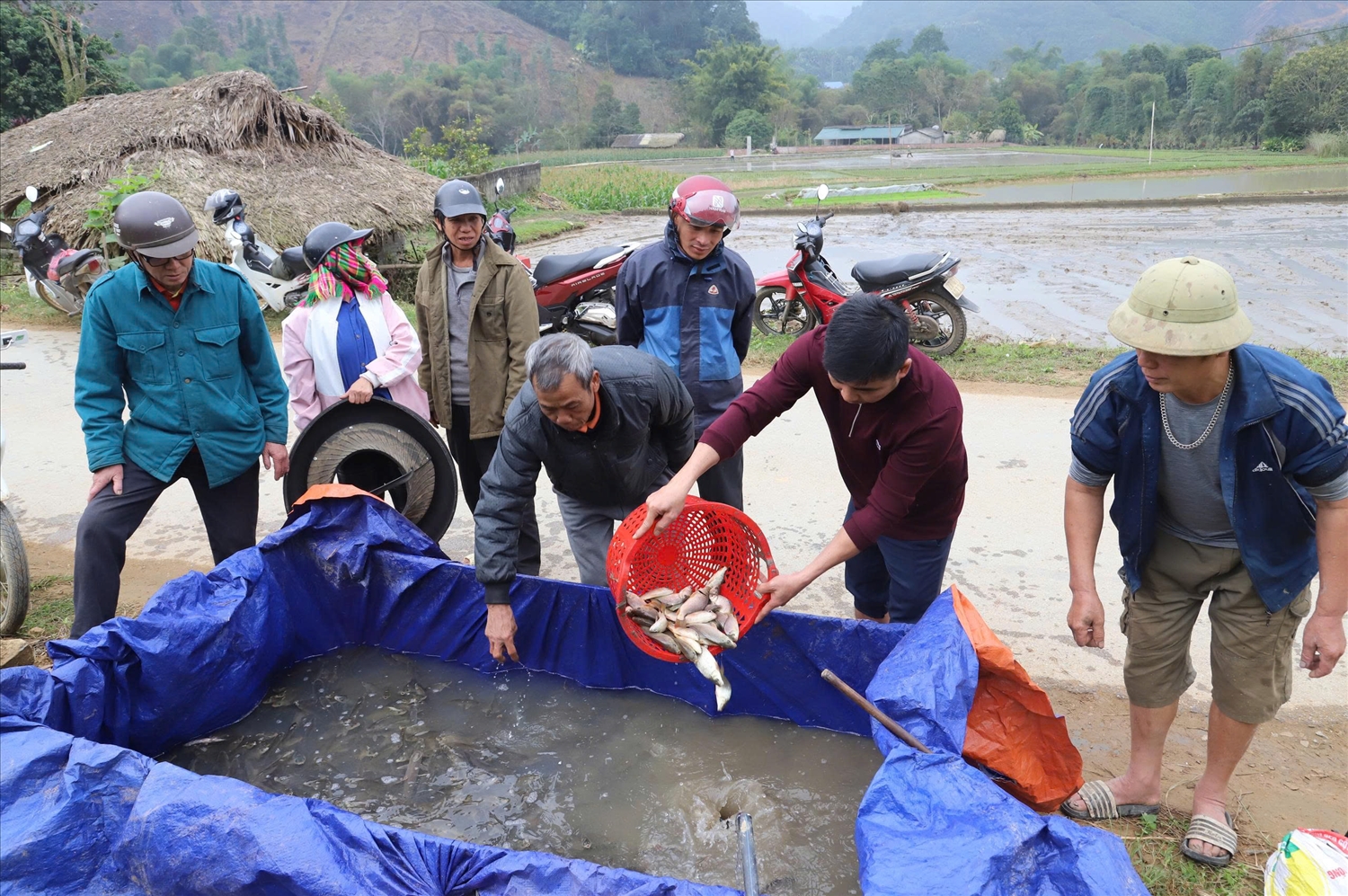 Đầu tháng 10/2025, UBND xã Liên Hiệp phối hợp với Ban Quản lý thôn Tân Thành 2 triển khai mô hình nuôi cá với 8 hộ dân tham gia, tổng diện tích thực hiện khoảng 1,4ha