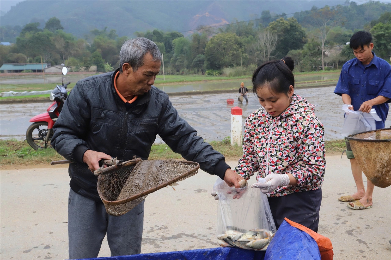 Trong thời gian tới, xã Liên Hiệp sẽ tiếp tục hỗ trợ người dân về kỹ thuật, đồng thời xem xét mở rộng mô hình nuôi cá chép ruộng tại các thôn có điều kiện phù hợp