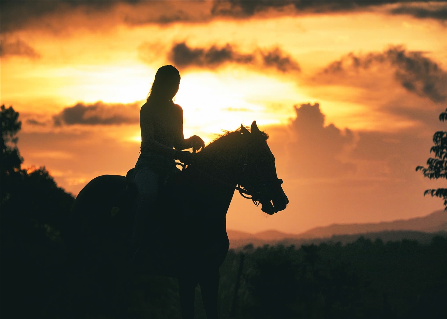 Du khách cưỡi ngựa ngắm hoàng hôn ở đại ngàn Măng Đen