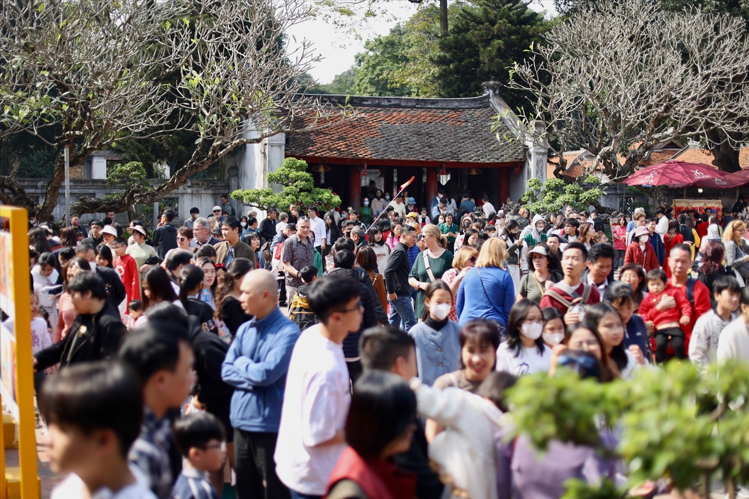 Du khách rộn ràng đi xin chữ đầu năm tại Văn Miếu