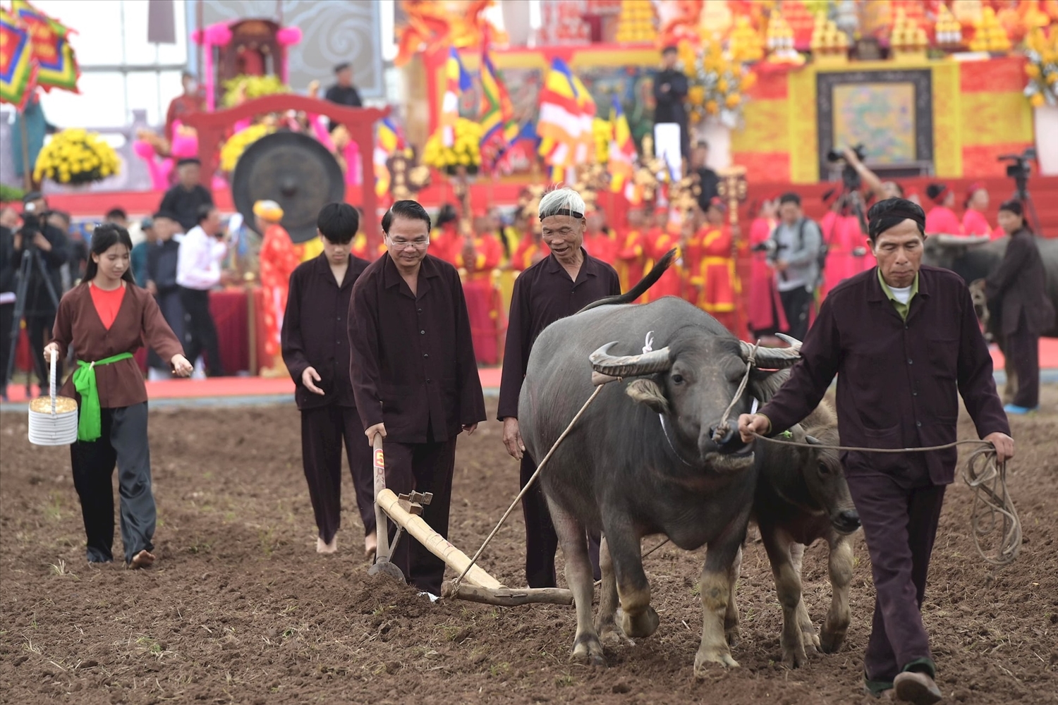 Sau các nghi lễ, Bí thư Tỉnh ủy tỉnh Ninh Bình Đặng Xuân Phong tham gia nghi thức cày ruộng.