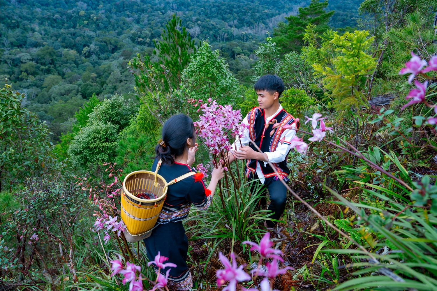 Mùa xuân cũng là thời điểm hoa địa lan khoe sắc khắp núi rừng Măng Đen