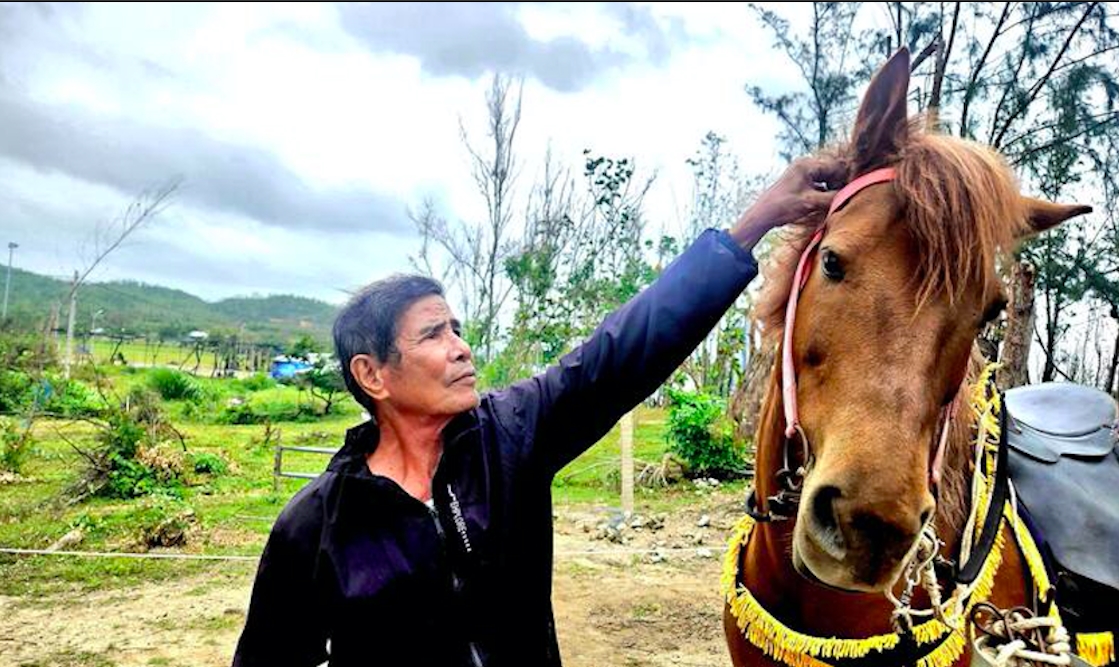 Đối với ông Nguyễn Hữu Chi, ngựa không chỉ là vật nuôi mà là một người bạn, người thân trong gia đình. (Ảnh M.Minh)