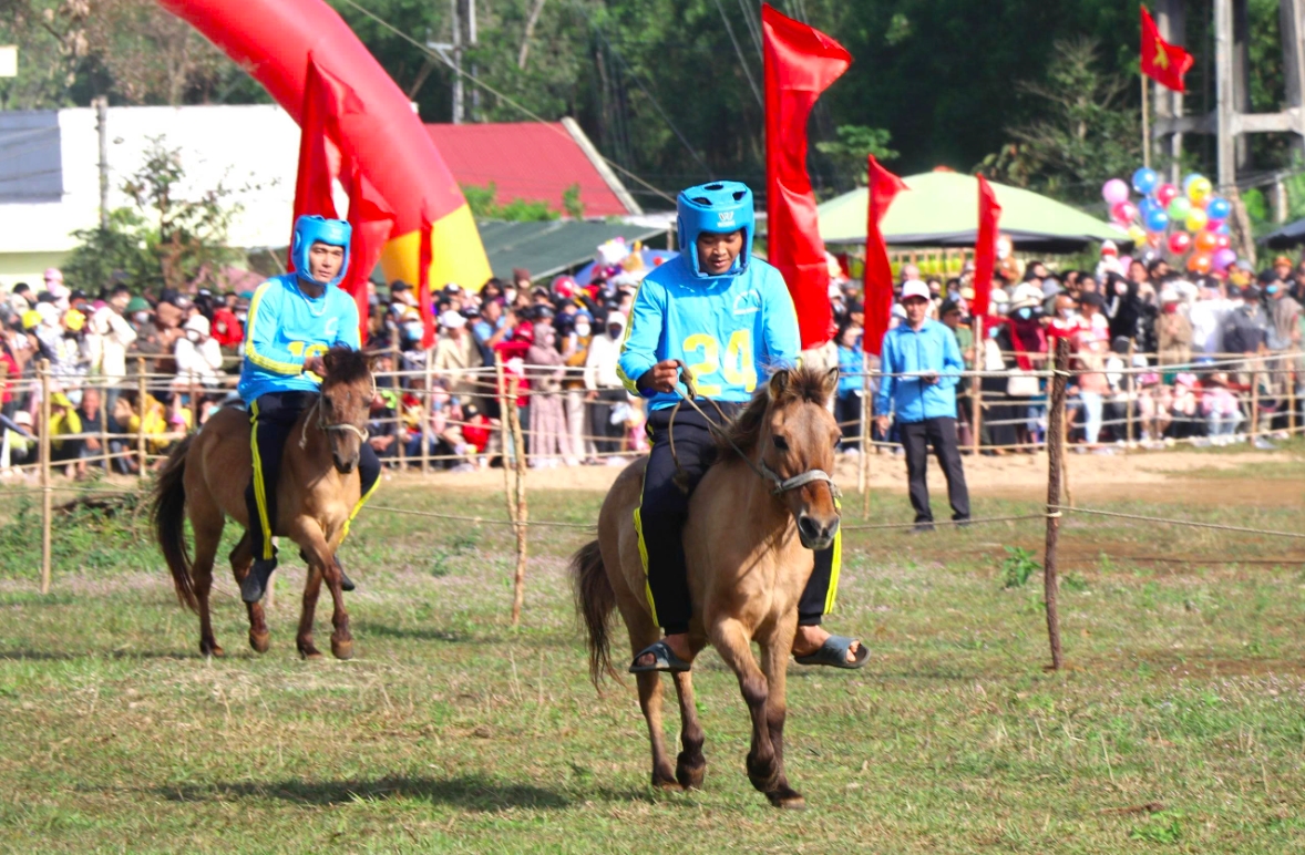Mỗi độ Xuân về, Gò Thì Thùng, xã Tuy An Tây lại rộn ràng tiếng vó ngựa. (Ảnh: T.Quân)