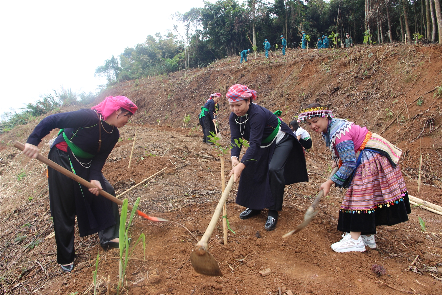 Đông đảo Nhân dân tham gia Tết trồng cây năm 2026 (Ảnh Trọng Bảo)