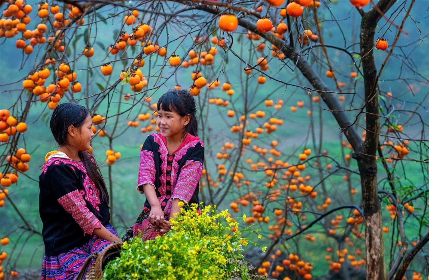 Mộc Châu (Sơn La) người dân phát triển du lịch gắn với nông nghiệp và văn hóa bản địa, tạo ra sinh kế bền vững. Ảnh: ITN
