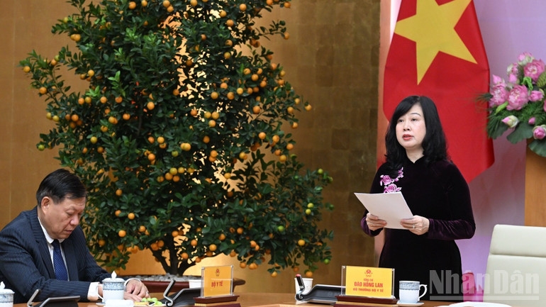 Bộ trưởng Y tế Đào Hồng Lan phát biểu ý kiến tại cuộc gặp mặt. (Ảnh: TRẦN HẢI)