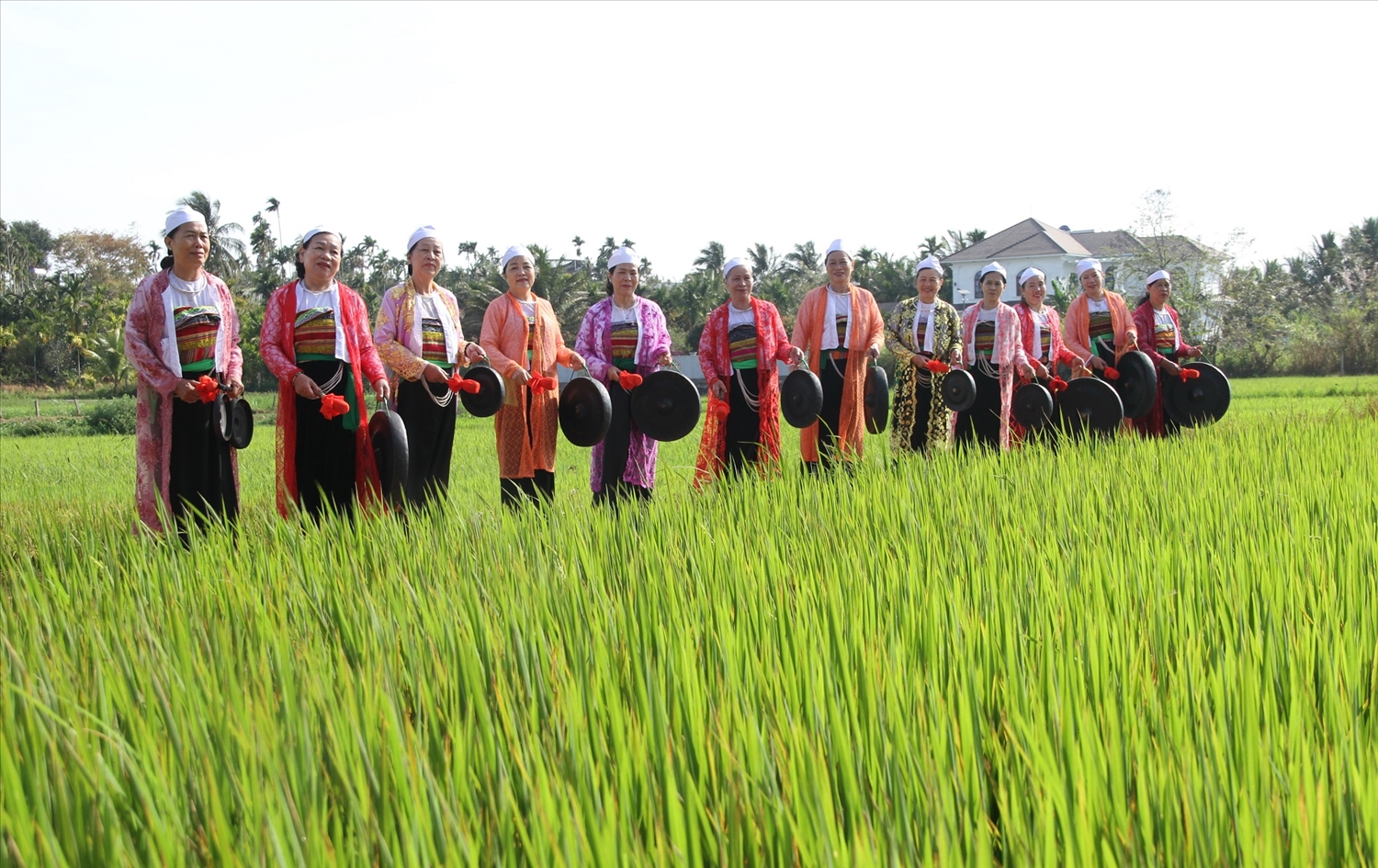 Em kg tin ảnh: Từ mái đình giữa đồng lúa, người Mường mở hội hạ nêu 6