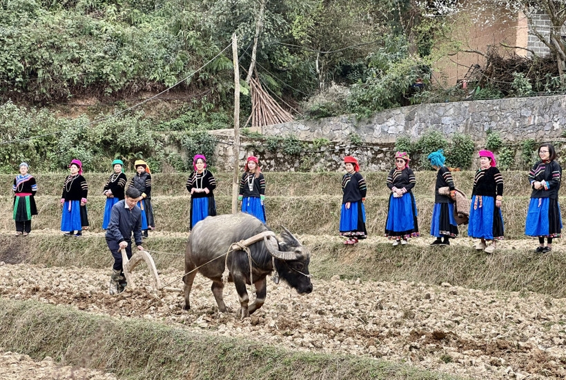 Kết thúc Lễ Pặt Oong, người dân cầm cày, cầm cuốc ra đồng lao động, sản xuất, bắt đầu cho mùa vụ mới (Ảnh MH)