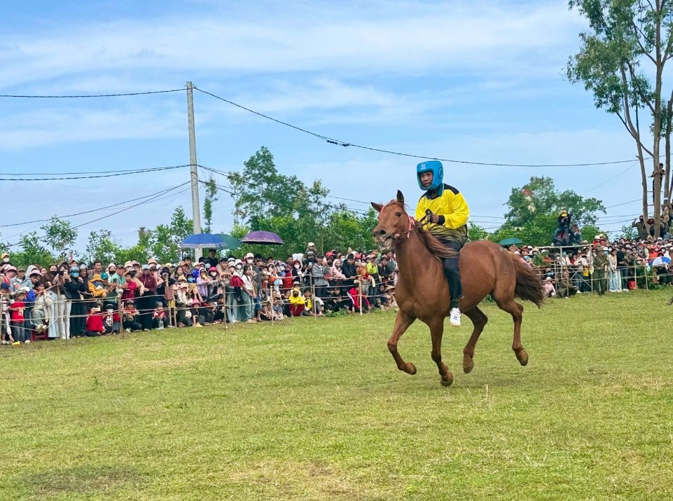 Một chú chiến mã đang băng băng về đích. (Ảnh: T.Q)