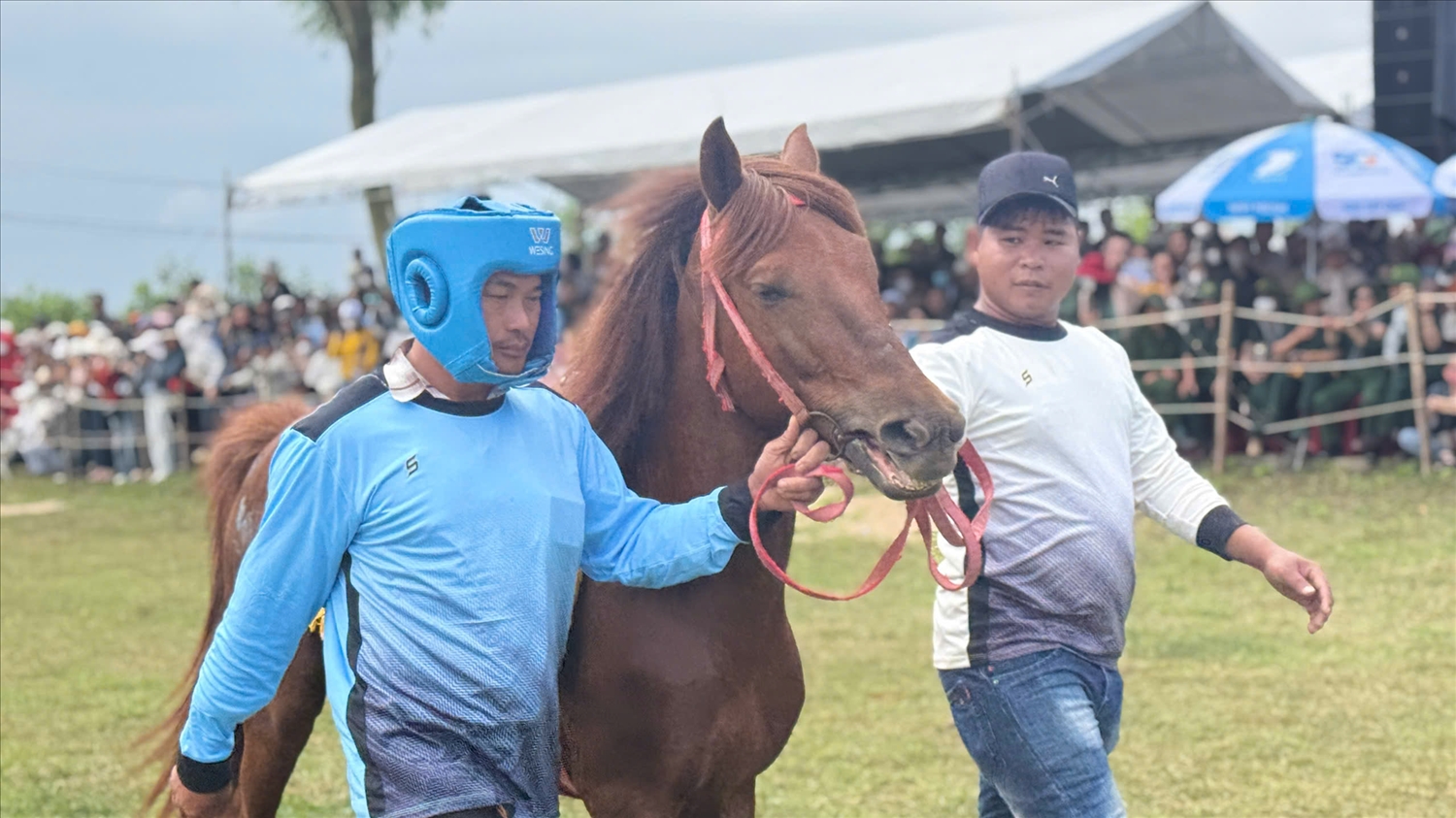 Kỵ sĩ nông dân gửi gắm niềm tin vào chú ngựa của mình. (Ảnh: T.Q)